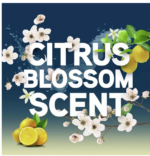 Antibakterinis kilimų valymo skystis plaunamiems siurbliams Vax Platinum (4L) - koncentratas – Paveikslėlis 4